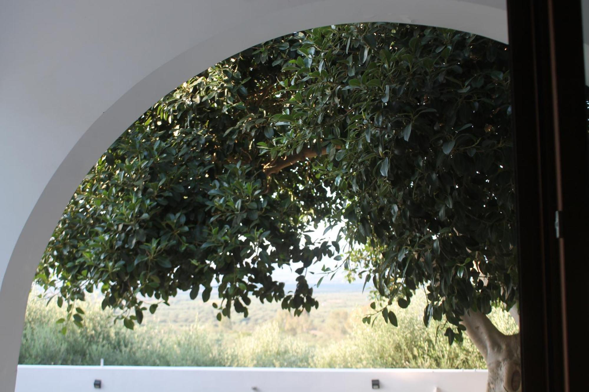 A Crystal Clear House In Pyrgos, Heraklion Crete Pirgos  Exterior photo